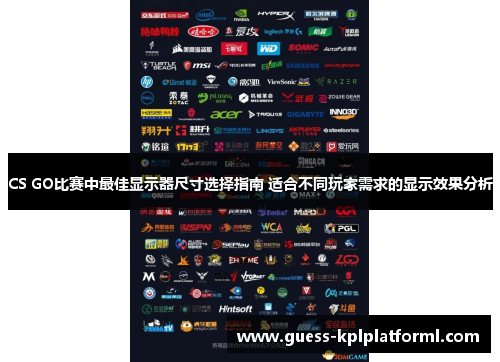 CS GO比赛中最佳显示器尺寸选择指南 适合不同玩家需求的显示效果分析