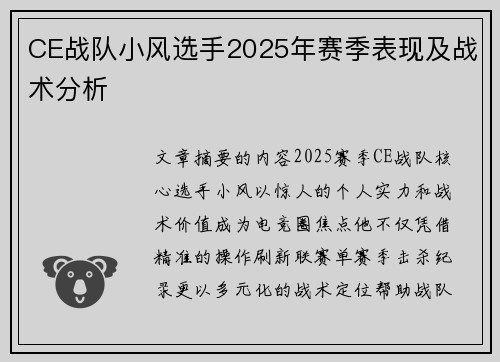 CE战队小风选手2025年赛季表现及战术分析
